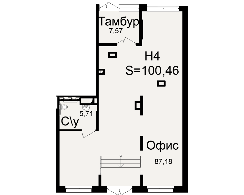 План нежилого помещения